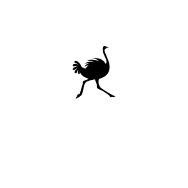 Freedom Ostrich Coffee